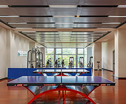 Lighting Solution for Indoor Table Tennis Halls