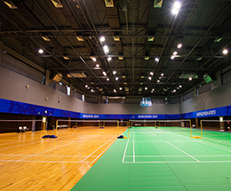 Lighting Solution for Badminton Halls