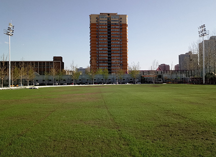 Application of Beijing Standard 11-a-side Outdoor Football Field