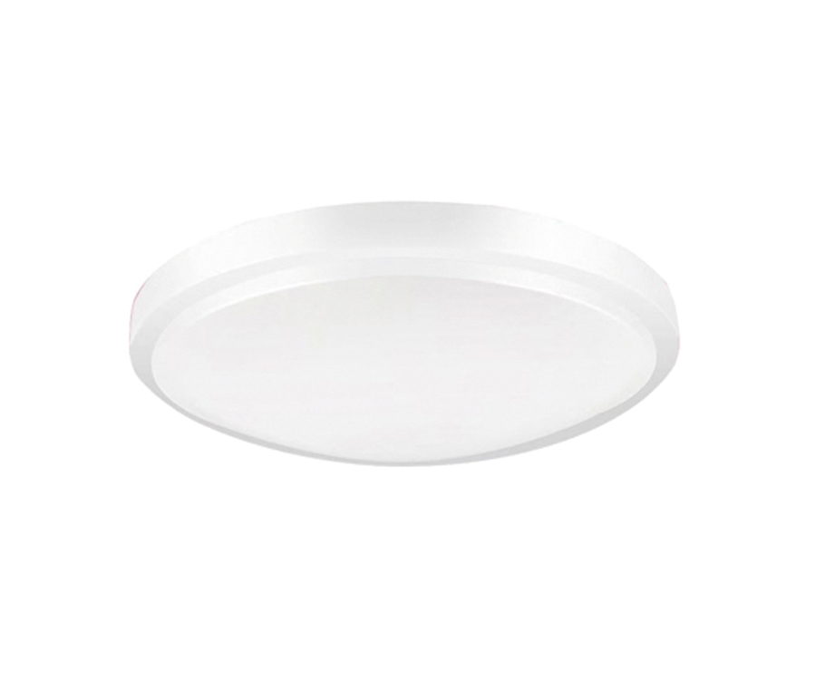 LED Ceiling Light