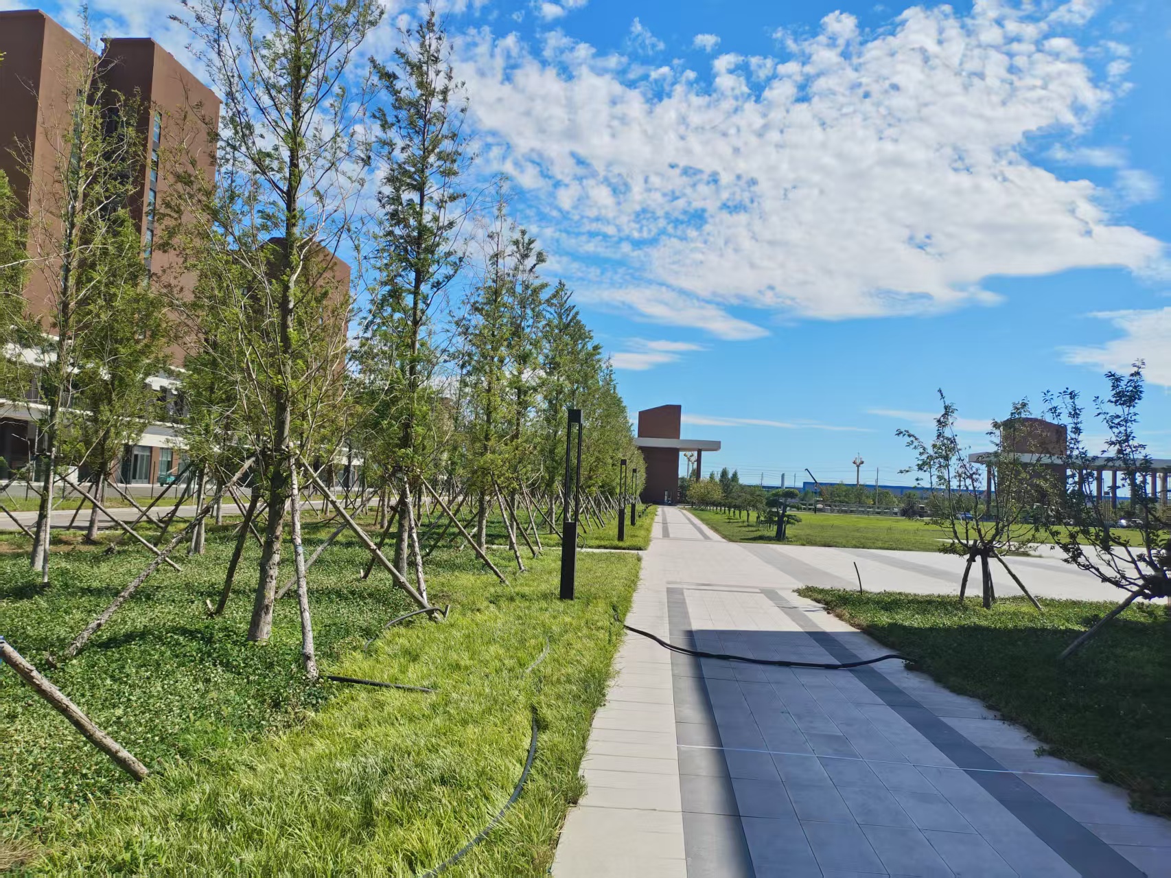 Application of Outdoor Lighting and Sports Lighting in Qingdao Universities